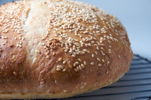 bread (7)